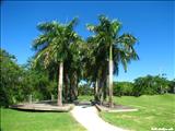 San Juan Central Park - SAN JUAN
